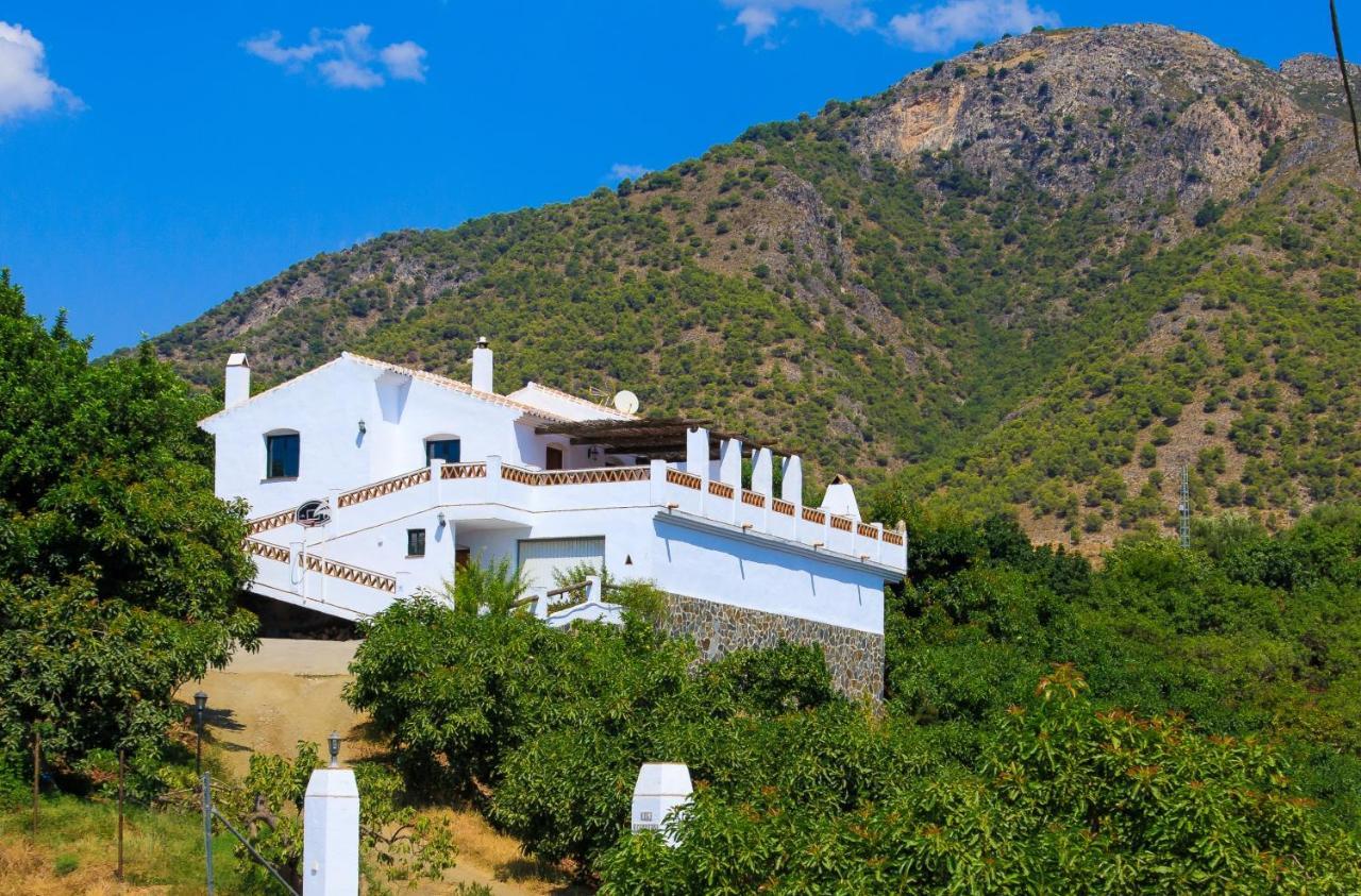 Cortijo Los Madronos 山林小屋 *
